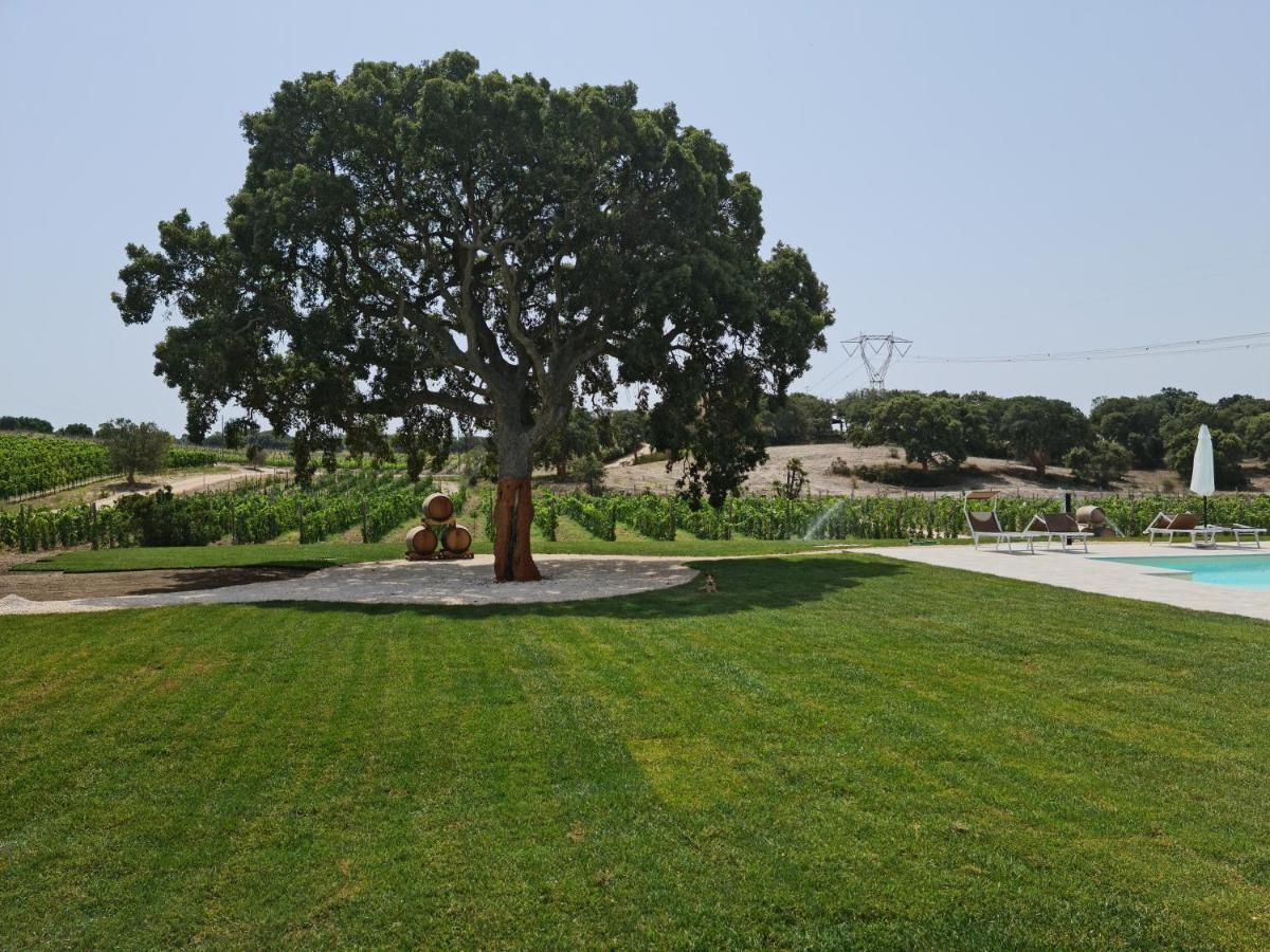 הוילה סאסארי La Vinia Bed&Wine Experience - Adults Only מראה חיצוני תמונה