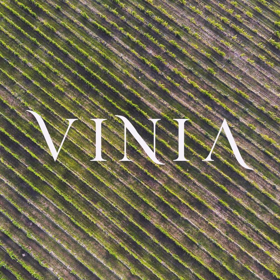 הוילה סאסארי La Vinia Bed&Wine Experience - Adults Only מראה חיצוני תמונה