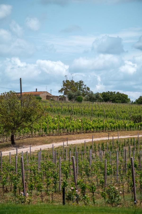 הוילה סאסארי La Vinia Bed&Wine Experience - Adults Only מראה חיצוני תמונה